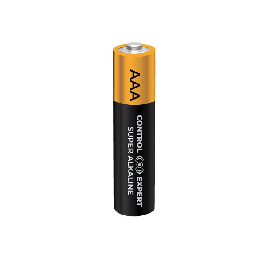 Pilas AAA Alcalinas Paquete 2 Piezas Blíster Control Expert